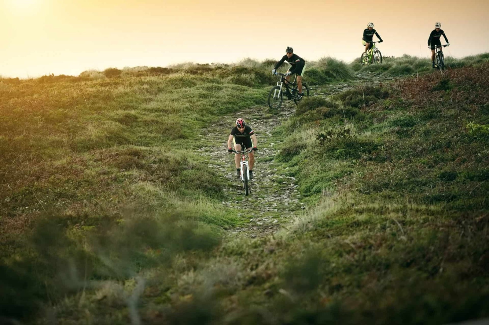 E-bikes in the countryside