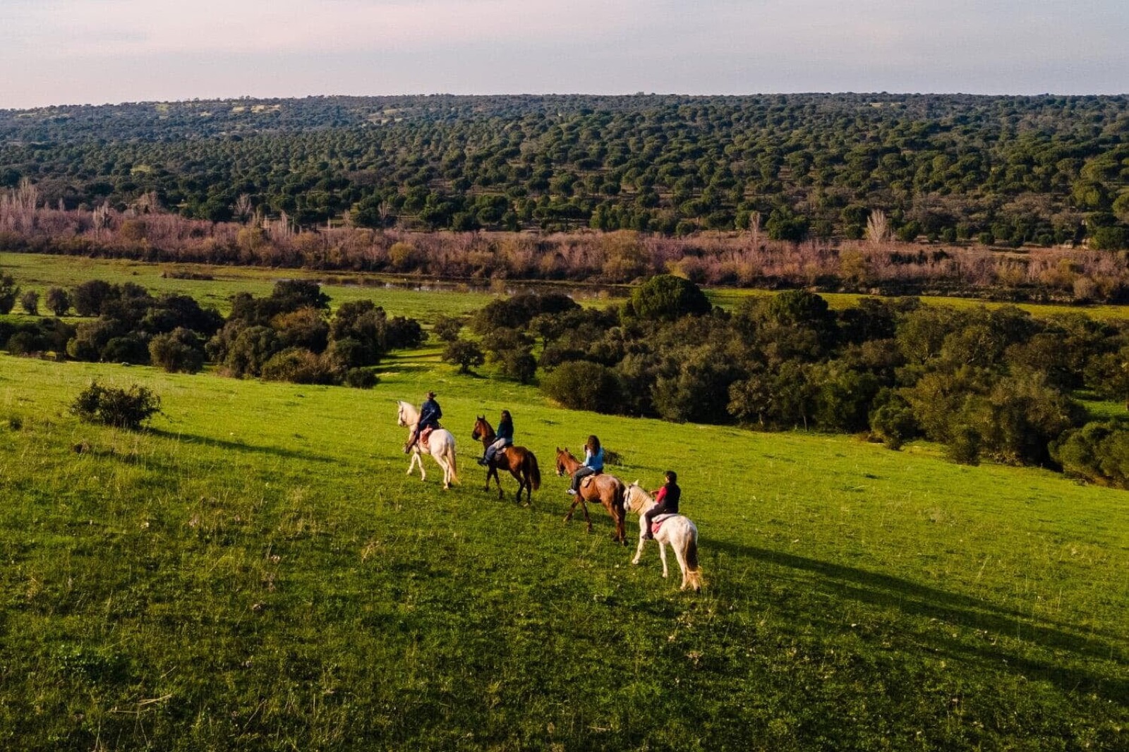 Sandcastle afternoon